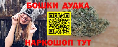 СК Кингисепп