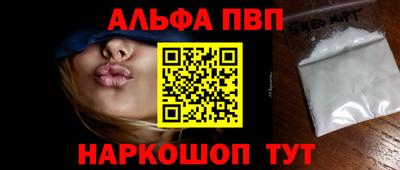 СК Кингисепп