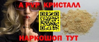 СК Кингисепп