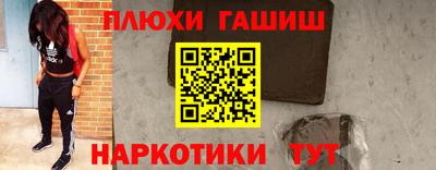 СК Кингисепп