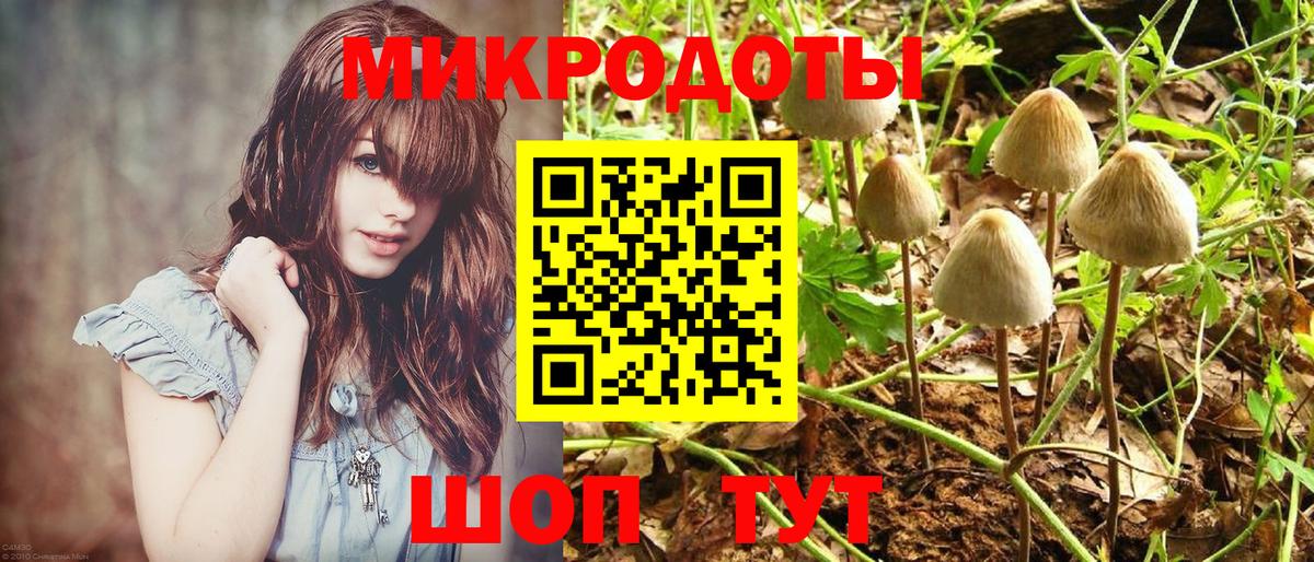 Волжский  Галлюциногенные грибы Magic Shrooms  Вход с VPN  Псилоцибиновые грибы ЛСД 