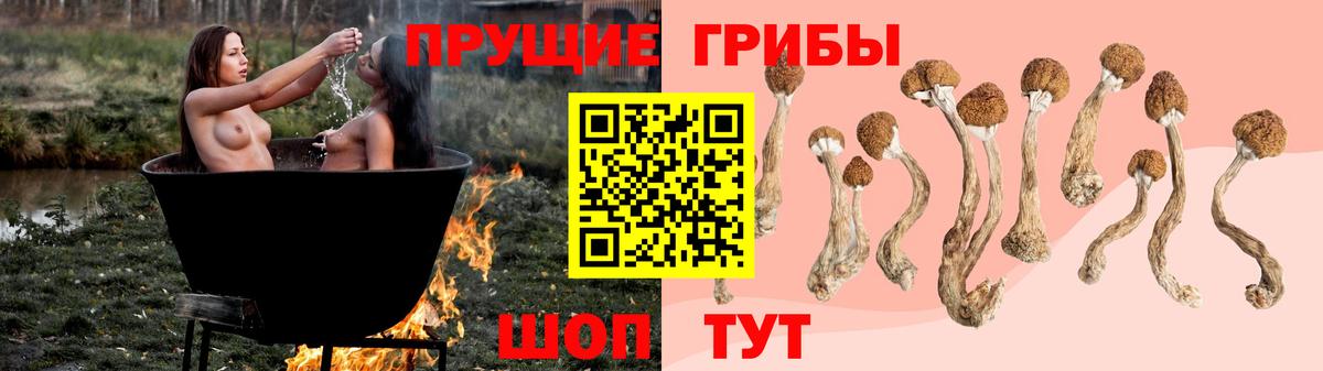 Псилоцибиновые грибы GOLDEN TEACHER Волжский